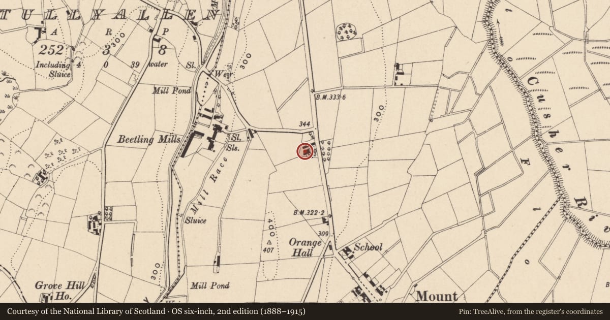 Ordnance Survey six-inch map, 2nd edition (1888–1915) covering the location of ROSEHILL, Armagh City, Banbridge and Craigavon, with a pin at the register's coordinates