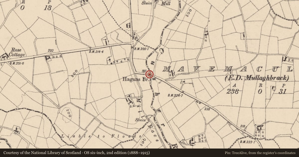 Ordnance Survey six-inch map, 2nd edition (1888–1915) covering the location of Hagans Bridge, Armagh City, Banbridge and Craigavon, with a pin at the register's coordinates