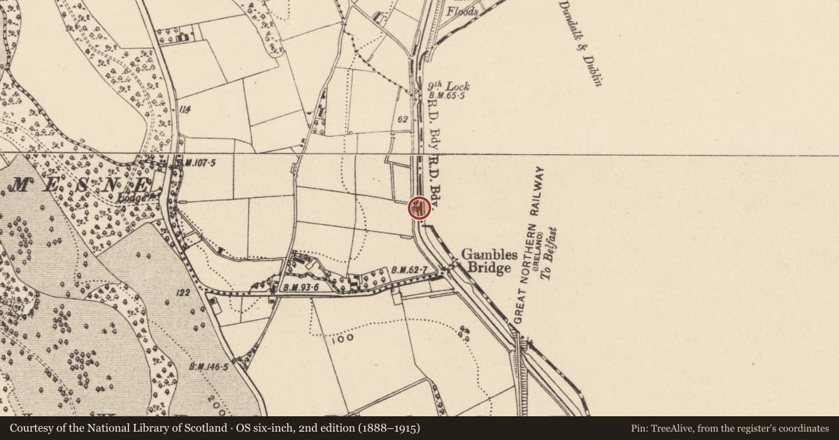 Ordnance Survey six-inch map, 2nd edition (1888–1915) covering the location of Drumantine Bridge, Armagh City, Banbridge and Craigavon, with a pin at the register's coordinates