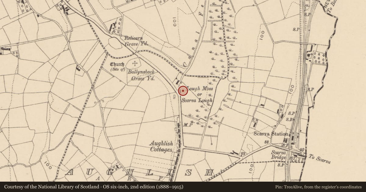 Ordnance Survey six-inch map, 2nd edition (1888–1915) covering the location of Garage, Aughlish, Armagh City, Banbridge and Craigavon, with a pin at the register's coordinates