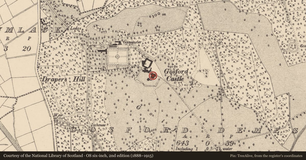 Ordnance Survey six-inch map, 2nd edition (1888–1915) covering the location of Gosford Castle, Armagh City, Banbridge and Craigavon, with a pin at the register's coordinates
