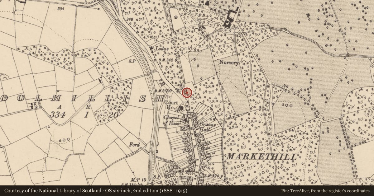 Ordnance Survey six-inch map, 2nd edition (1888–1915) covering the location of Gateways And Wall At Gosford House, Armagh City, Banbridge and Craigavon, with a pin at the register's coordinates
