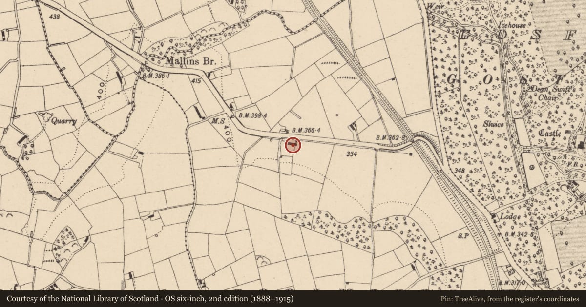 Ordnance Survey six-inch map, 2nd edition (1888–1915) covering the location of 29 Gosford Road, Armagh City, Banbridge and Craigavon, with a pin at the register's coordinates