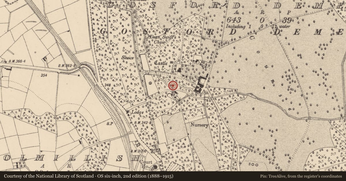 Ordnance Survey six-inch map, 2nd edition (1888–1915) covering the location of Dean Swift'S Well, Armagh City, Banbridge and Craigavon, with a pin at the register's coordinates