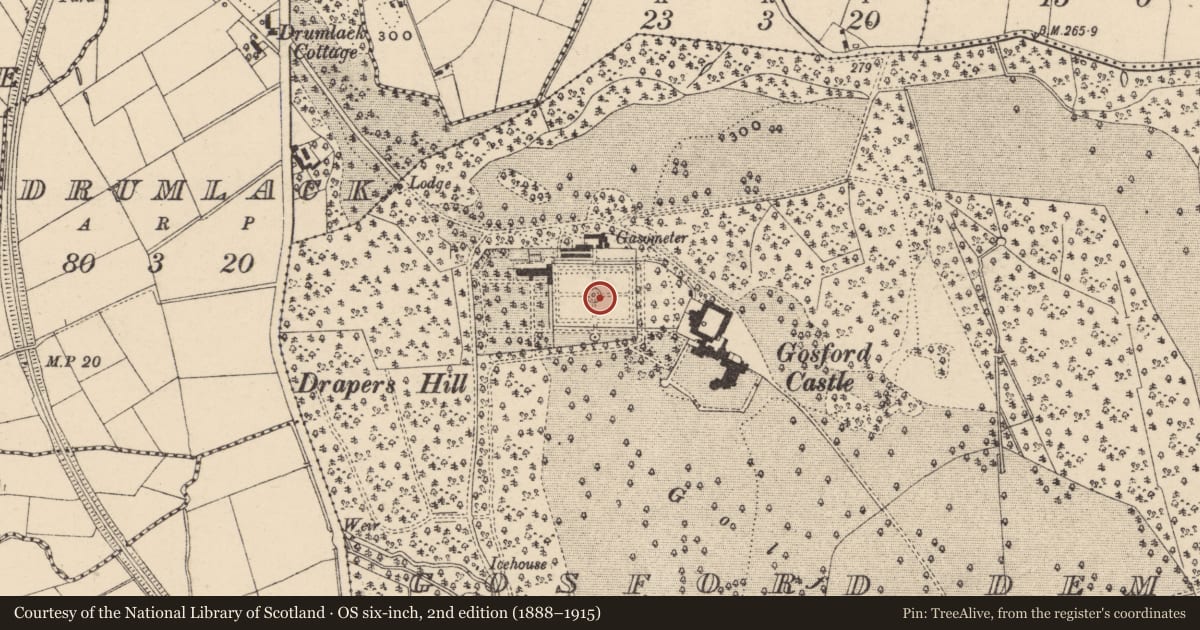 Ordnance Survey six-inch map, 2nd edition (1888–1915) covering the location of Orchard Wall And Gateways, Armagh City, Banbridge and Craigavon, with a pin at the register's coordinates