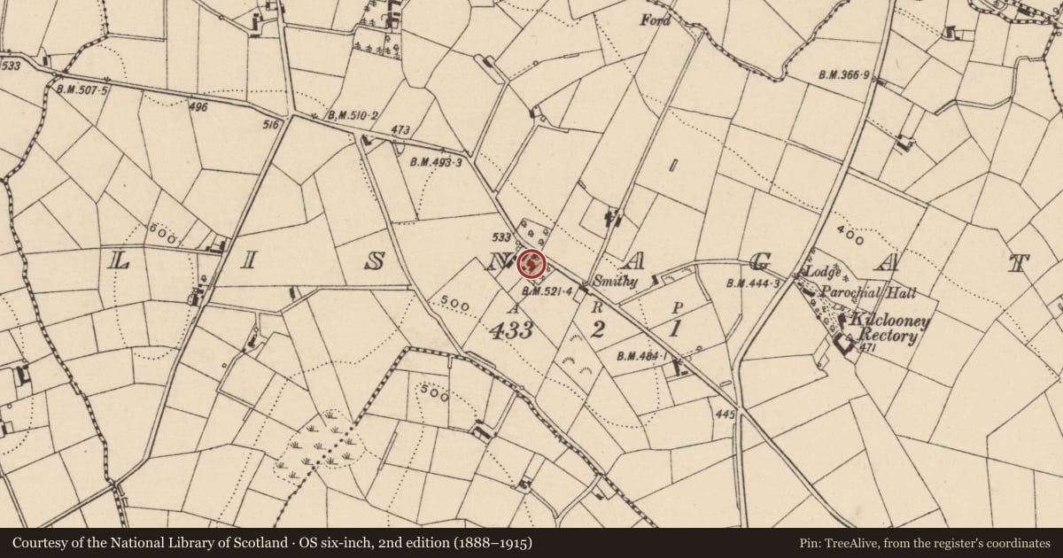 Ordnance Survey six-inch map, 2nd edition (1888–1915) covering the location of Lisnagat House, Armagh City, Banbridge and Craigavon, with a pin at the register's coordinates