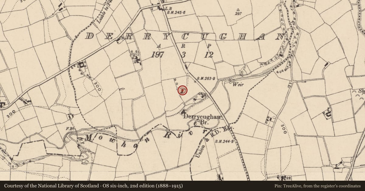Ordnance Survey six-inch map, 2nd edition (1888–1915) covering the location of Otter Glen, Armagh City, Banbridge and Craigavon, with a pin at the register's coordinates