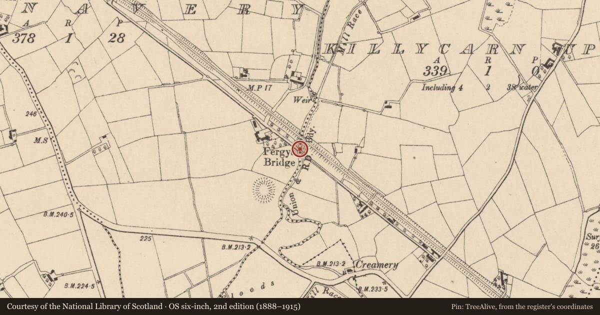 Ordnance Survey six-inch map, 2nd edition (1888–1915) covering the location of Fergy'S Bridge Maghnavery/Killycarn Upper Markethill, Armagh City, Banbridge and Craigavon, with a pin at the register's coordinates