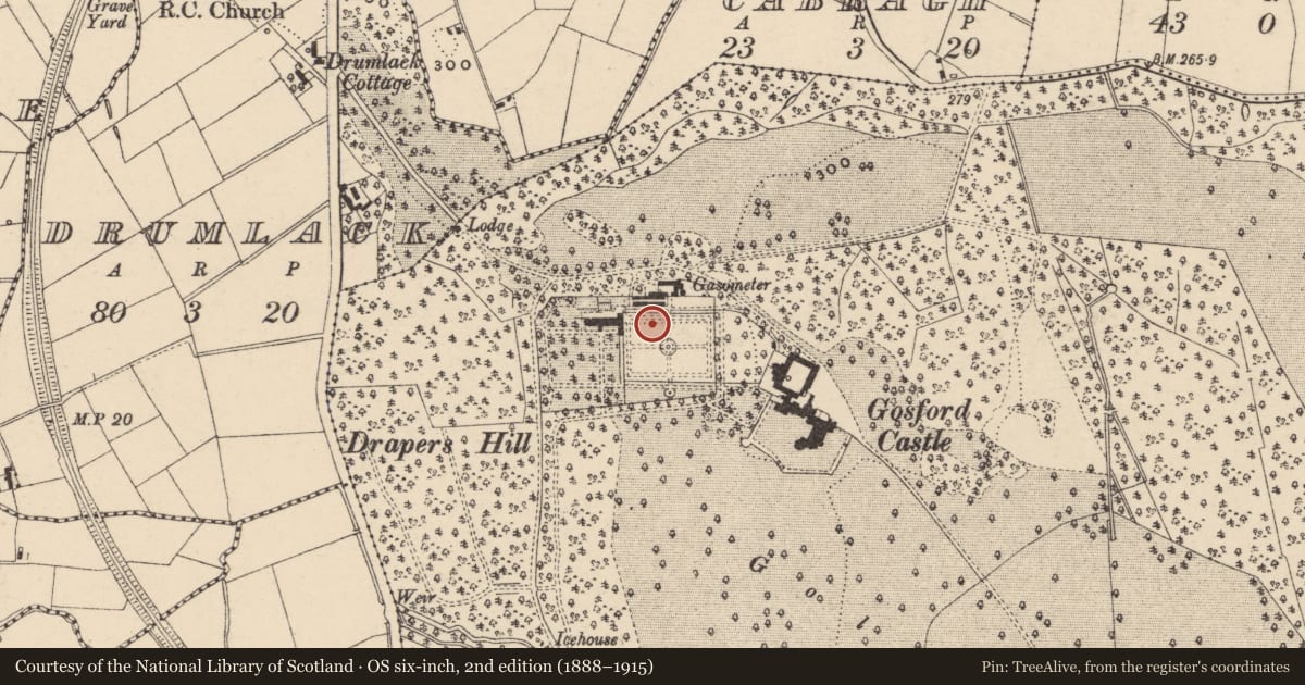 Ordnance Survey six-inch map, 2nd edition (1888–1915) covering the location of Bee Bole/HOUSE, Armagh City, Banbridge and Craigavon, with a pin at the register's coordinates