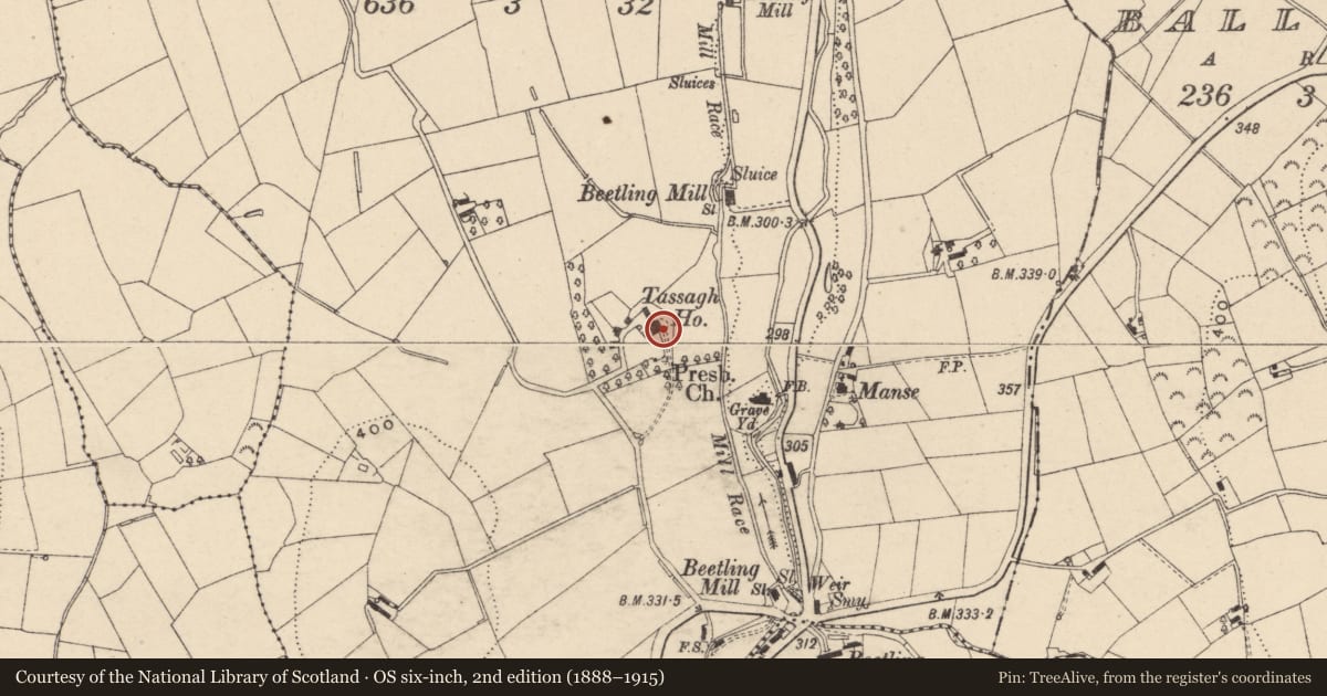 Ordnance Survey six-inch map, 2nd edition (1888–1915) covering the location of Tassagh House, Armagh City, Banbridge and Craigavon, with a pin at the register's coordinates