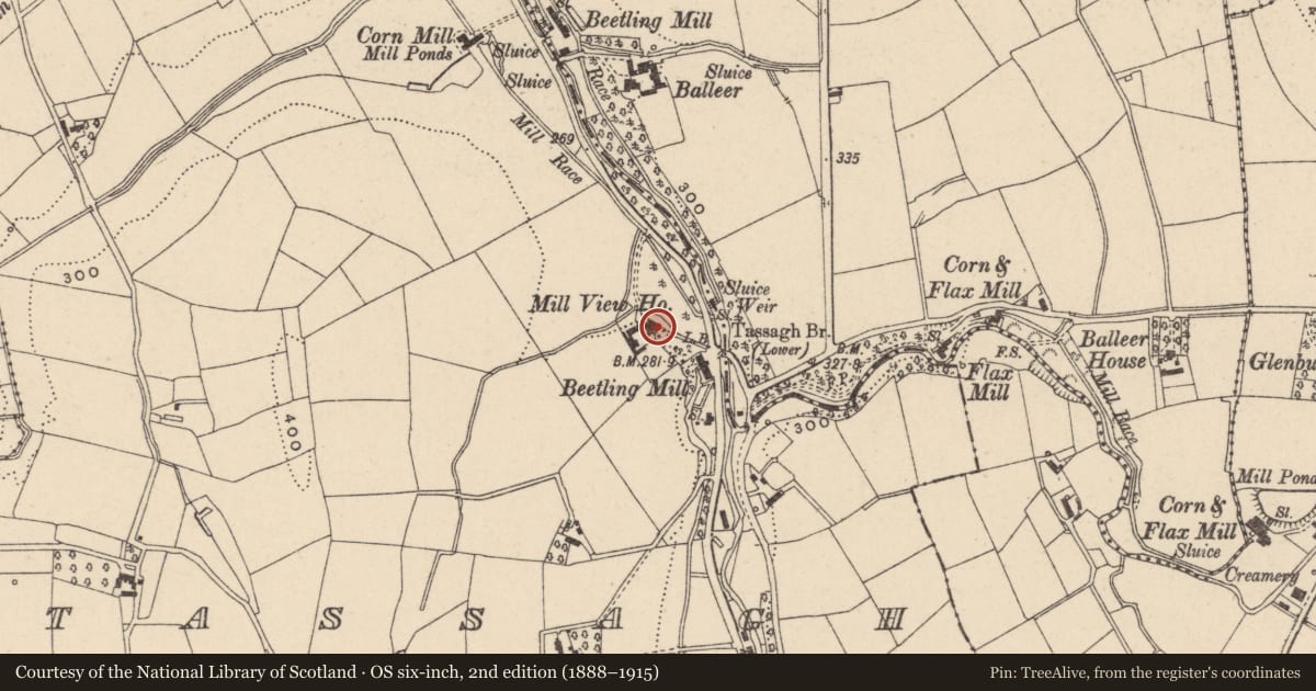 Ordnance Survey six-inch map, 2nd edition (1888–1915) covering the location of Mill View House, Armagh City, Banbridge and Craigavon, with a pin at the register's coordinates