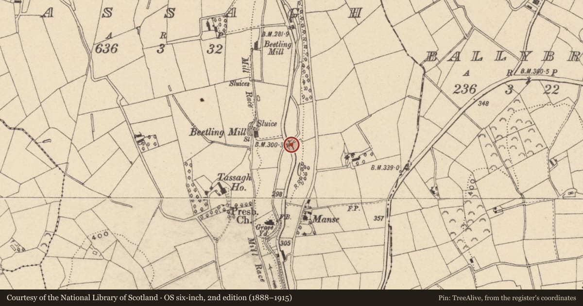 Ordnance Survey six-inch map, 2nd edition (1888–1915) covering the location of BRIDGE 1, Armagh City, Banbridge and Craigavon, with a pin at the register's coordinates