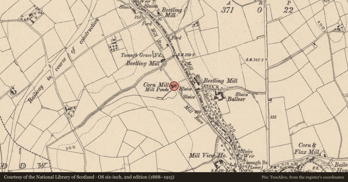 Ordnance Survey six-inch map, 2nd edition (1888–1915) covering the location of Former Corn Mill And Beetling Mill, Armagh City, Banbridge and Craigavon, with a pin at the register's coordinates