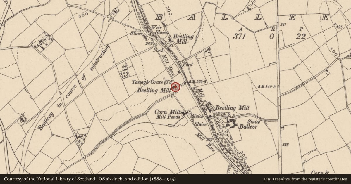 Ordnance Survey six-inch map, 2nd edition (1888–1915) covering the location of Former Beetling Mill, Armagh City, Banbridge and Craigavon, with a pin at the register's coordinates