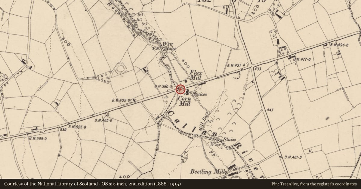 Ordnance Survey six-inch map, 2nd edition (1888–1915) covering the location of BRIDGE 1, Armagh City, Banbridge and Craigavon, with a pin at the register's coordinates