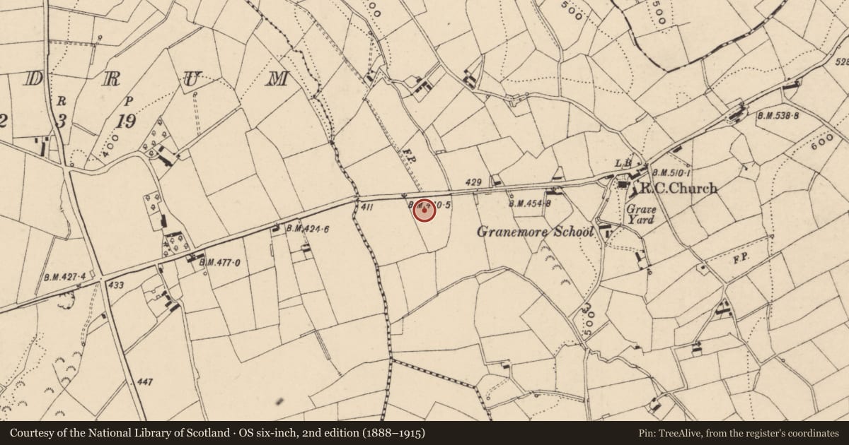Ordnance Survey six-inch map, 2nd edition (1888–1915) covering the location of St. Mary'S Church, Armagh City, Banbridge and Craigavon, with a pin at the register's coordinates