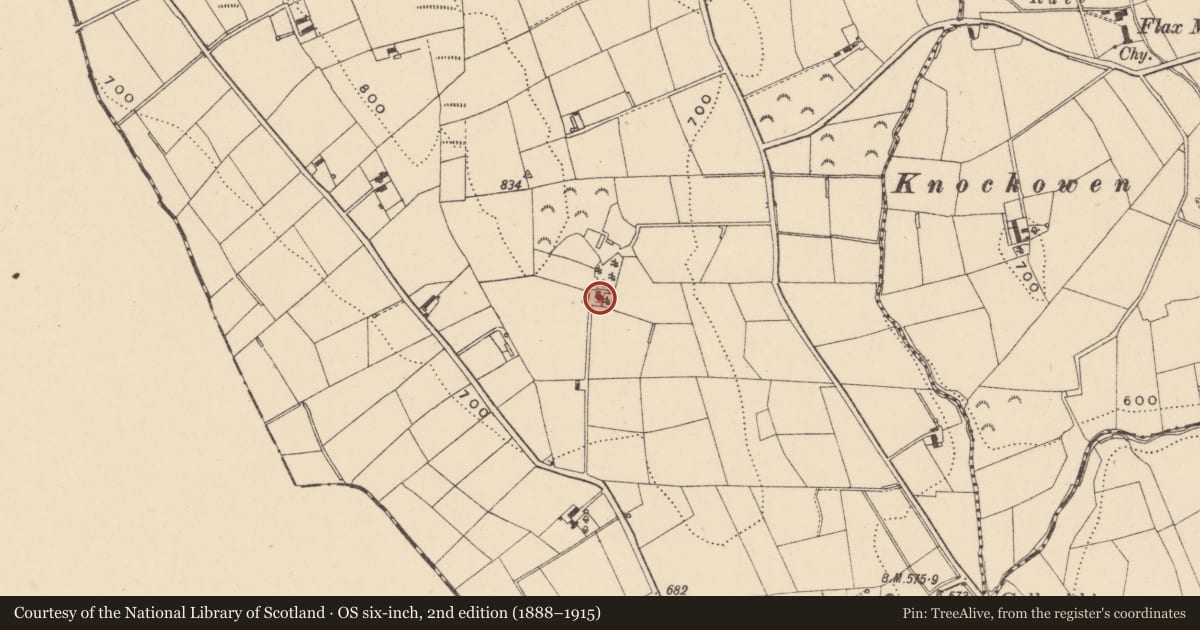 Ordnance Survey six-inch map, 2nd edition (1888–1915) covering the location of 136 Upper Darkley Road, Armagh City, Banbridge and Craigavon, with a pin at the register's coordinates