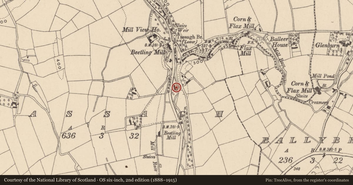 Ordnance Survey six-inch map, 2nd edition (1888–1915) covering the location of 62-68 Dundrum Road, Tassagh, Armagh City, Banbridge and Craigavon, with a pin at the register's coordinates