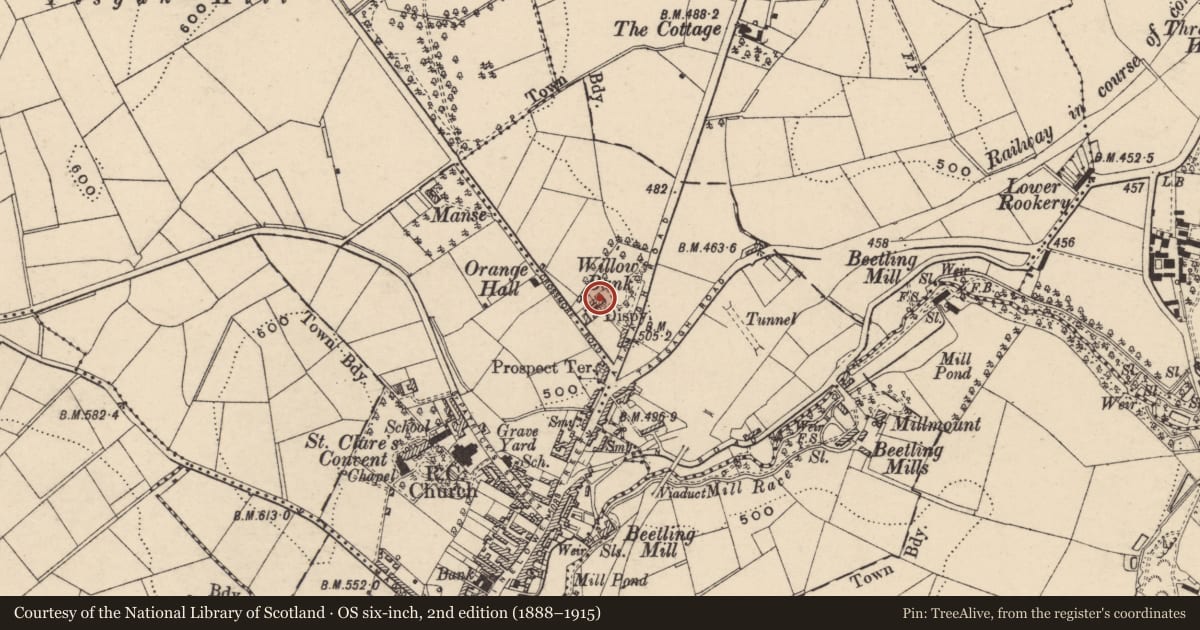 Ordnance Survey six-inch map, 2nd edition (1888–1915) covering the location of WILLOWBANK, Armagh City, Banbridge and Craigavon, with a pin at the register's coordinates