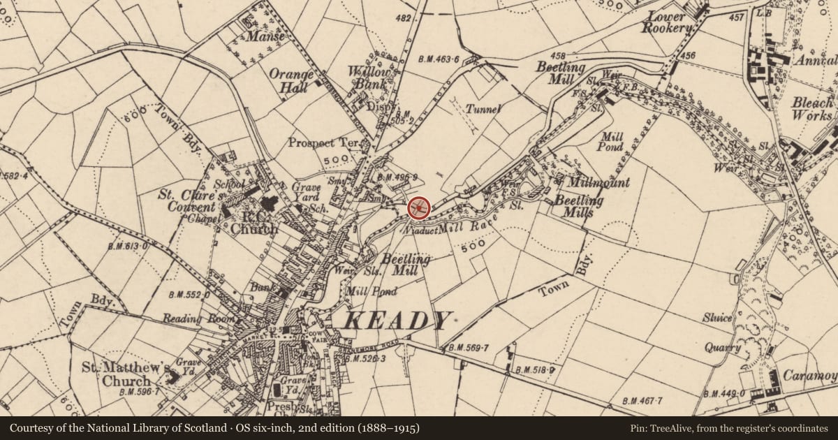Ordnance Survey six-inch map, 2nd edition (1888–1915) covering the location of Railway Viaduct, Armagh City, Banbridge and Craigavon, with a pin at the register's coordinates