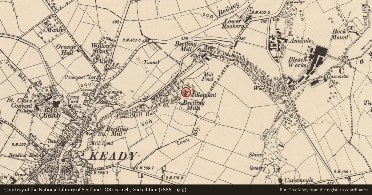 Ordnance Survey six-inch map, 2nd edition (1888–1915) covering the location of MILLMOUNT, Armagh City, Banbridge and Craigavon, with a pin at the register's coordinates
