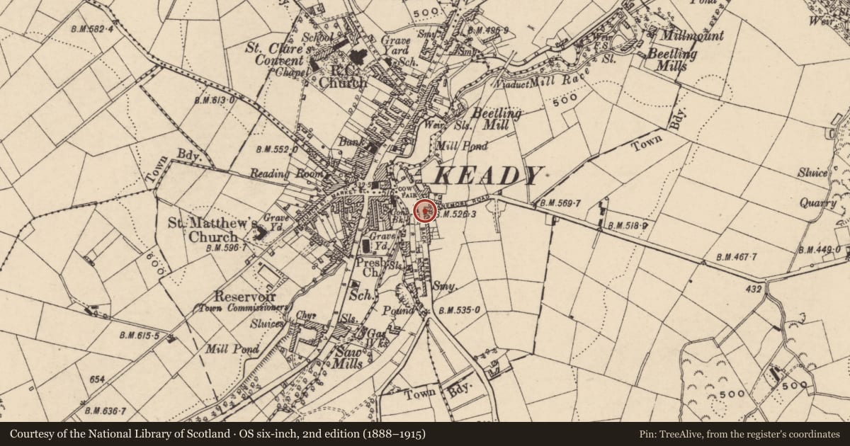 Ordnance Survey six-inch map, 2nd edition (1888–1915) covering the location of 'Fair Green House', Armagh City, Banbridge and Craigavon, with a pin at the register's coordinates
