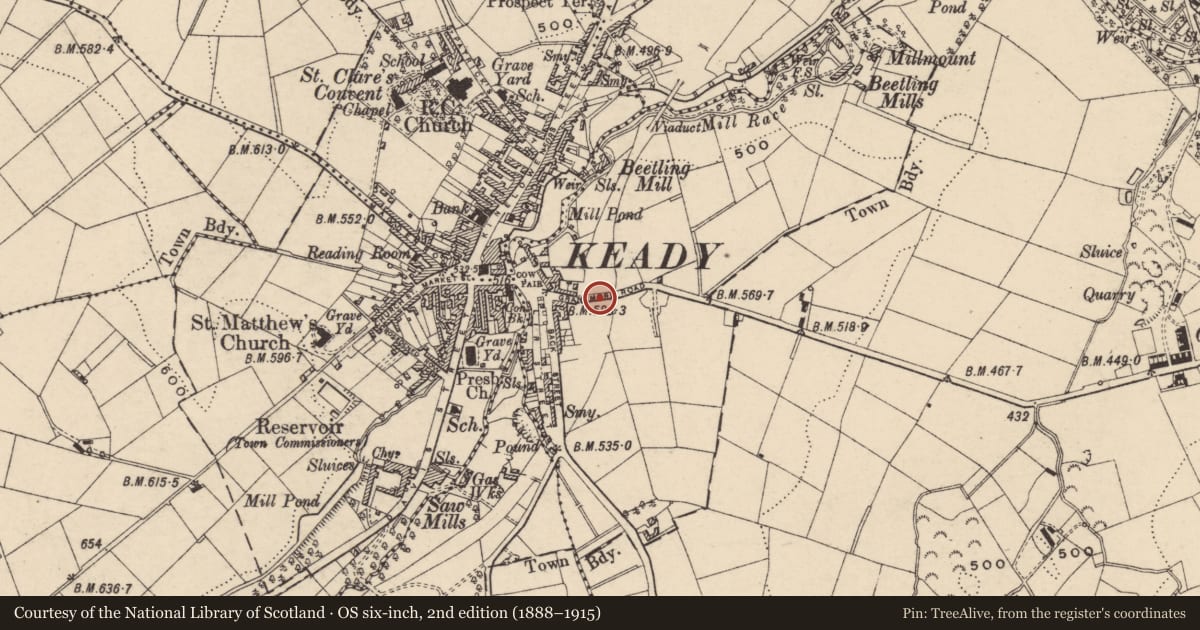 Ordnance Survey six-inch map, 2nd edition (1888–1915) covering the location of Granemore Road, Armagh City, Banbridge and Craigavon, with a pin at the register's coordinates