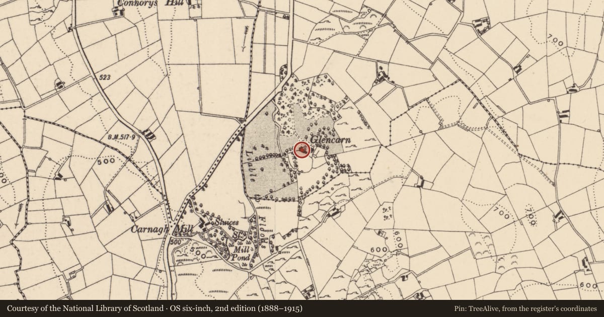Ordnance Survey six-inch map, 2nd edition (1888–1915) covering the location of Glencarn House, Armagh City, Banbridge and Craigavon, with a pin at the register's coordinates