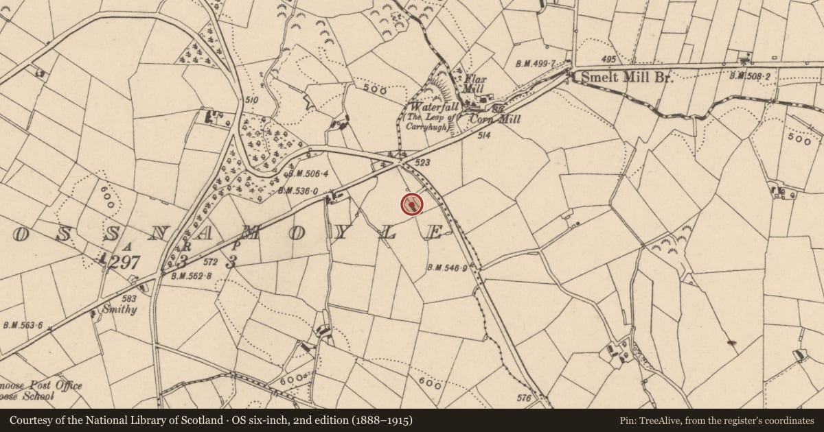 Ordnance Survey six-inch map, 2nd edition (1888–1915) covering the location of Cassily'S Farm, Armagh City, Banbridge and Craigavon, with a pin at the register's coordinates