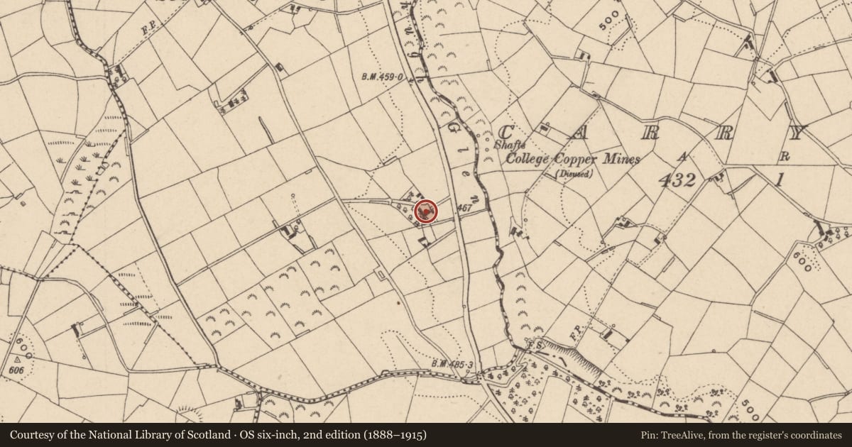 Ordnance Survey six-inch map, 2nd edition (1888–1915) covering the location of 121 Drumhillery Road, Armagh City, Banbridge and Craigavon, with a pin at the register's coordinates