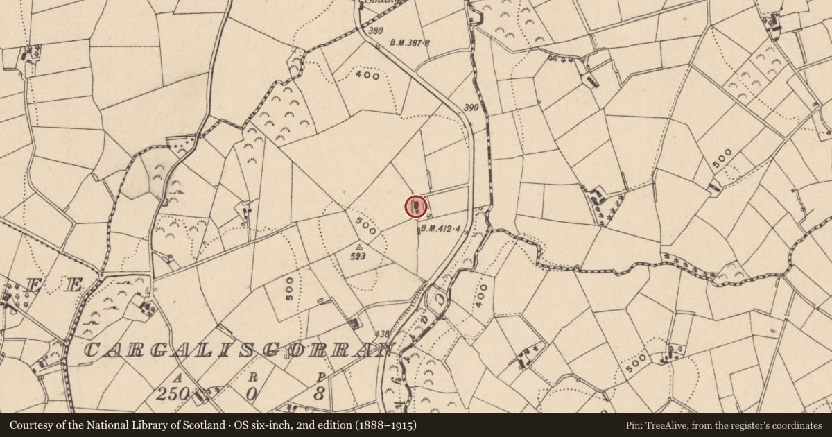 Ordnance Survey six-inch map, 2nd edition (1888–1915) covering the location of 111 Drumhillery Road, Cargalisgorran, Armagh City, Banbridge and Craigavon, with a pin at the register's coordinates