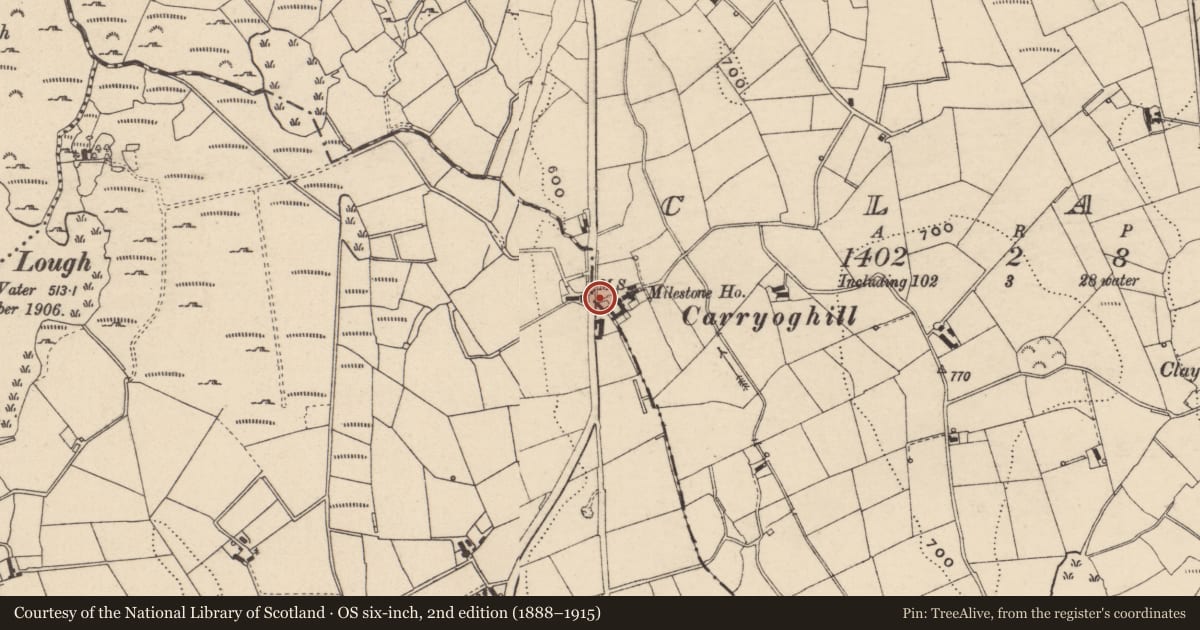 Ordnance Survey six-inch map, 2nd edition (1888–1915) covering the location of MILESTONE, Armagh City, Banbridge and Craigavon, with a pin at the register's coordinates