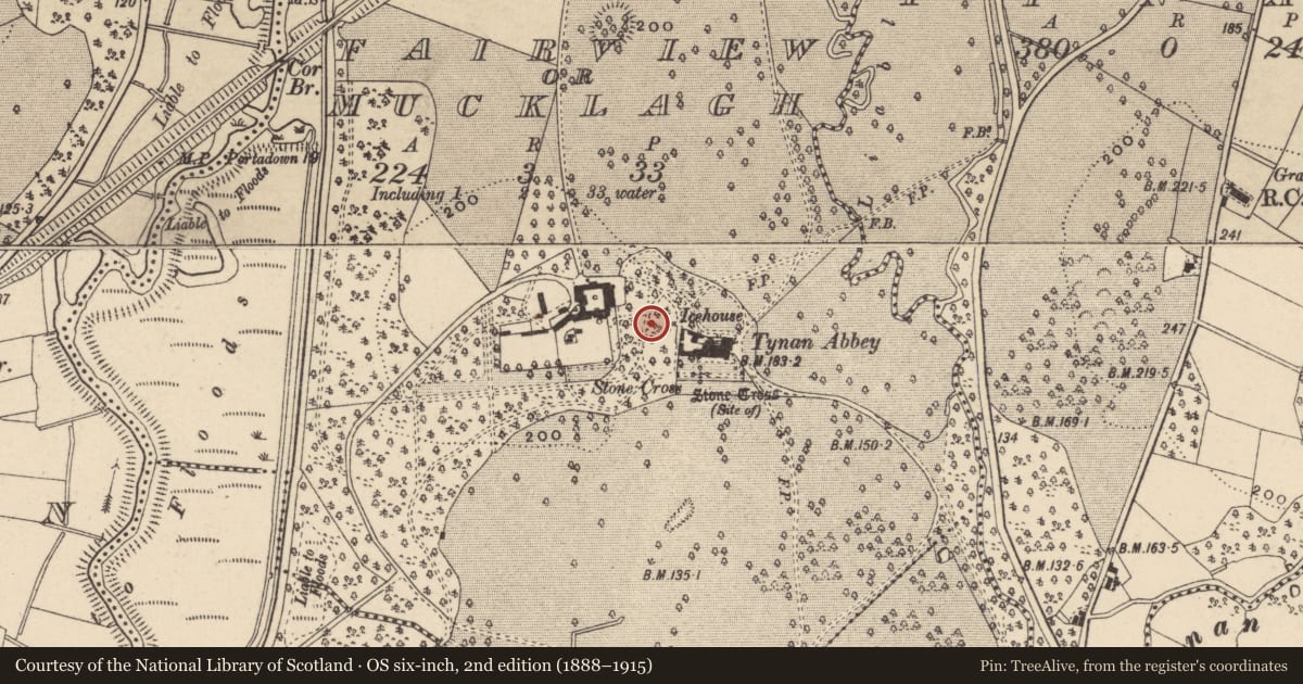 Ordnance Survey six-inch map, 2nd edition (1888–1915) covering the location of Tynan Abbey, Armagh City, Banbridge and Craigavon, with a pin at the register's coordinates