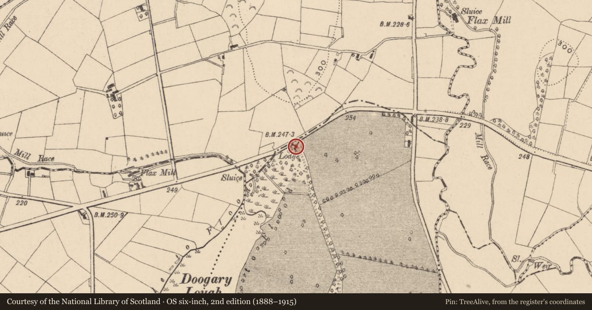 Ordnance Survey six-inch map, 2nd edition (1888–1915) covering the location of Gate Lodge at Port Nelligan, Portnelligan, Armagh City, Banbridge and Craigavon, with a pin at the register's coordinates
