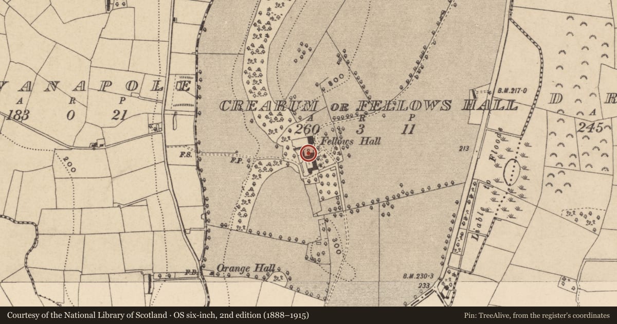 Ordnance Survey six-inch map, 2nd edition (1888–1915) covering the location of Fellow'S Hall, Armagh City, Banbridge and Craigavon, with a pin at the register's coordinates