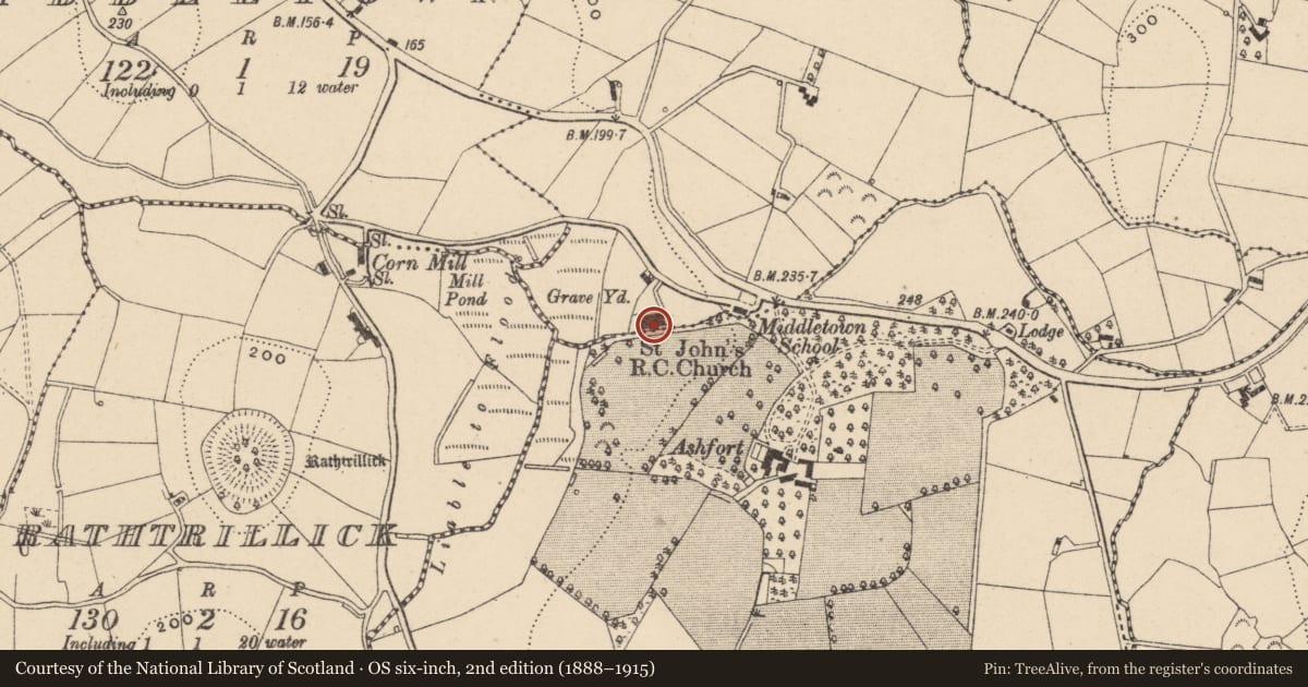 Ordnance Survey six-inch map, 2nd edition (1888–1915) covering the location of St. John'S R C CHURCH, Armagh City, Banbridge and Craigavon, with a pin at the register's coordinates