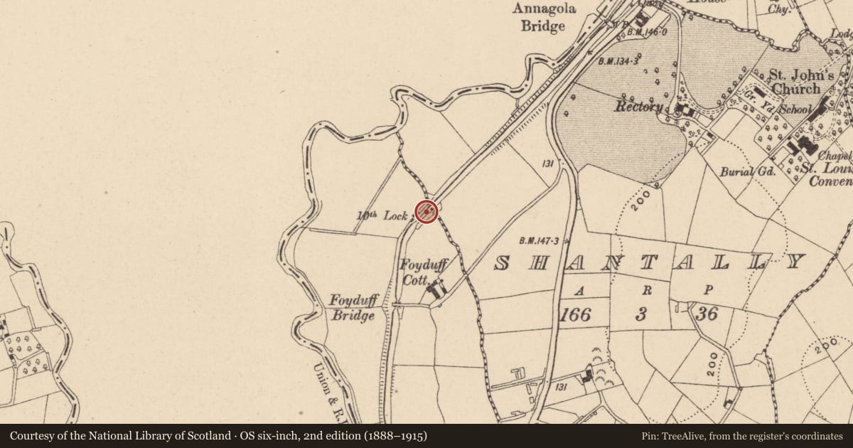Ordnance Survey six-inch map, 2nd edition (1888–1915) covering the location of Former Lock House, Armagh City, Banbridge and Craigavon, with a pin at the register's coordinates