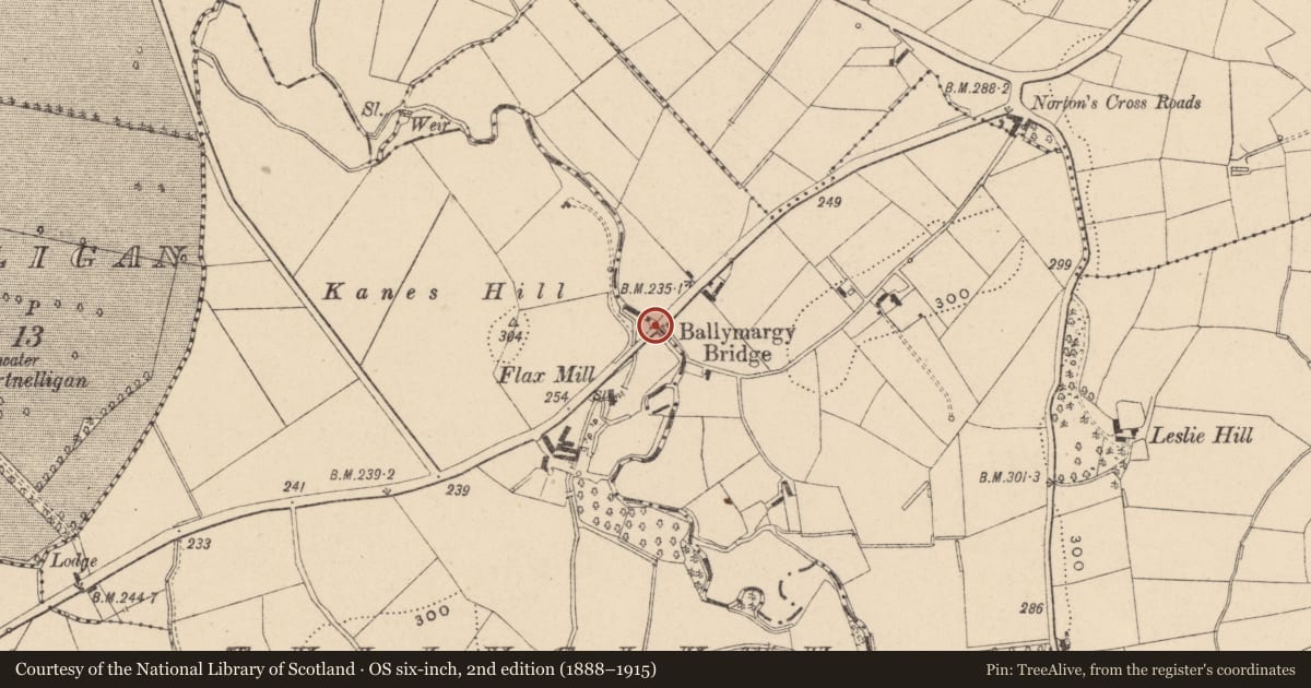 Ordnance Survey six-inch map, 2nd edition (1888–1915) covering the location of Ballymargy Bridge Tullyglush/DRUMACANVER, Armagh City, Banbridge and Craigavon, with a pin at the register's coordinates