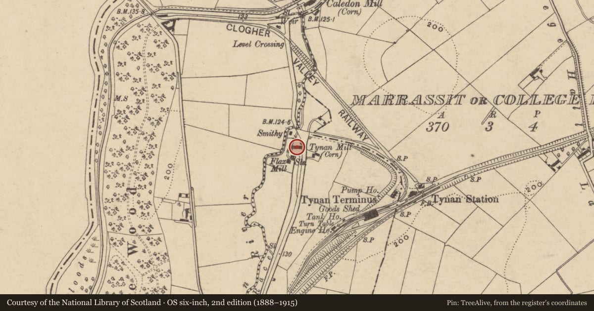Ordnance Survey six-inch map, 2nd edition (1888–1915) covering the location of Corn Mill, Coolkill Road, Tynan, Armagh, BT60 4RB, Lemnagore, Armagh City, Banbridge and Craigavon, with a pin at the register's coordinates
