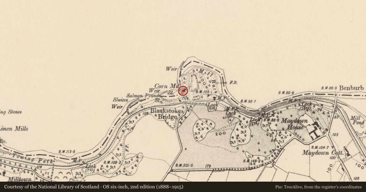 Ordnance Survey six-inch map, 2nd edition (1888–1915) covering the location of Corn And Flax Mills, Armagh City, Banbridge and Craigavon, with a pin at the register's coordinates