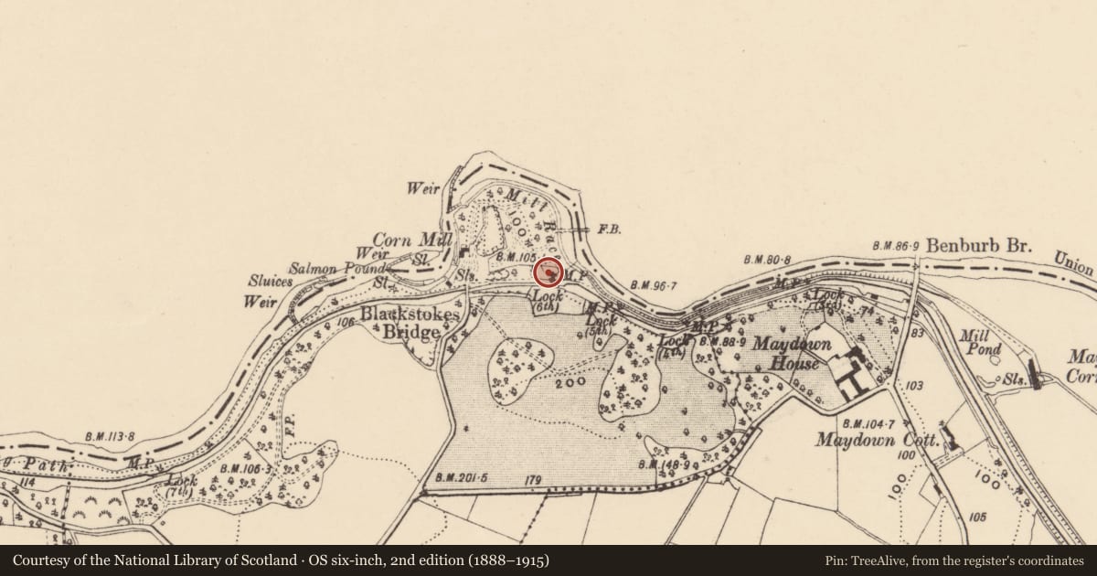 Ordnance Survey six-inch map, 2nd edition (1888–1915) covering the location of HOUSE, Armagh City, Banbridge and Craigavon, with a pin at the register's coordinates