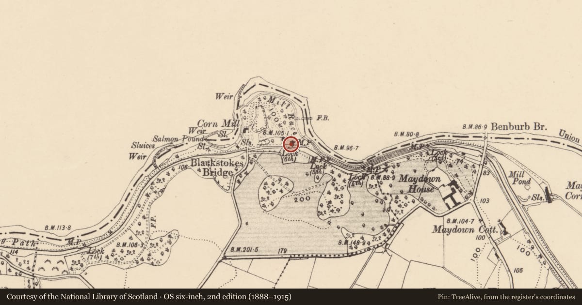 Ordnance Survey six-inch map, 2nd edition (1888–1915) covering the location of Lock And Mooring Post On Blackwater Navigation Carrickaness, Armagh City, Banbridge and Craigavon, with a pin at the register's coordinates