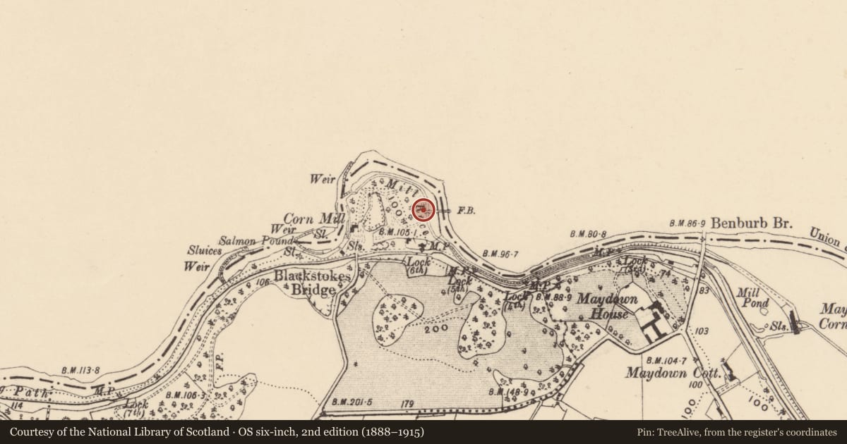 Ordnance Survey six-inch map, 2nd edition (1888–1915) covering the location of Foot Bridge Over, Armagh City, Banbridge and Craigavon, with a pin at the register's coordinates