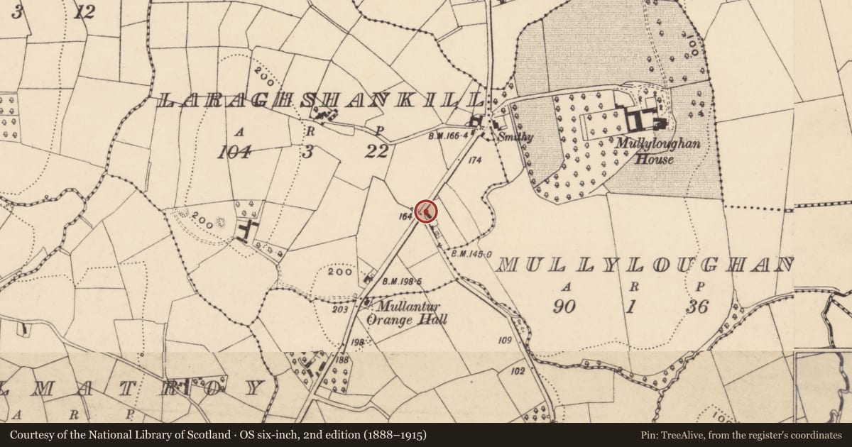 Ordnance Survey six-inch map, 2nd edition (1888–1915) covering the location of 159 Tullysaran Road, Laraghshankill, Armagh City, Banbridge and Craigavon, with a pin at the register's coordinates