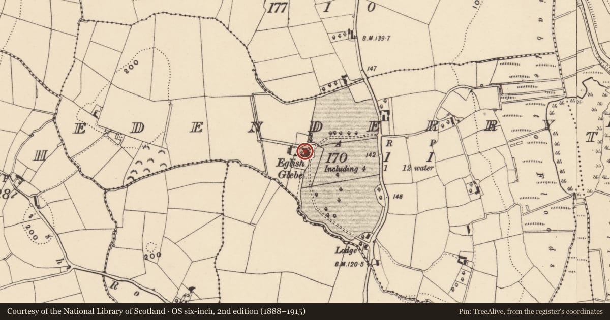 Ordnance Survey six-inch map, 2nd edition (1888–1915) covering the location of Edenderry House, Armagh City, Banbridge and Craigavon, with a pin at the register's coordinates