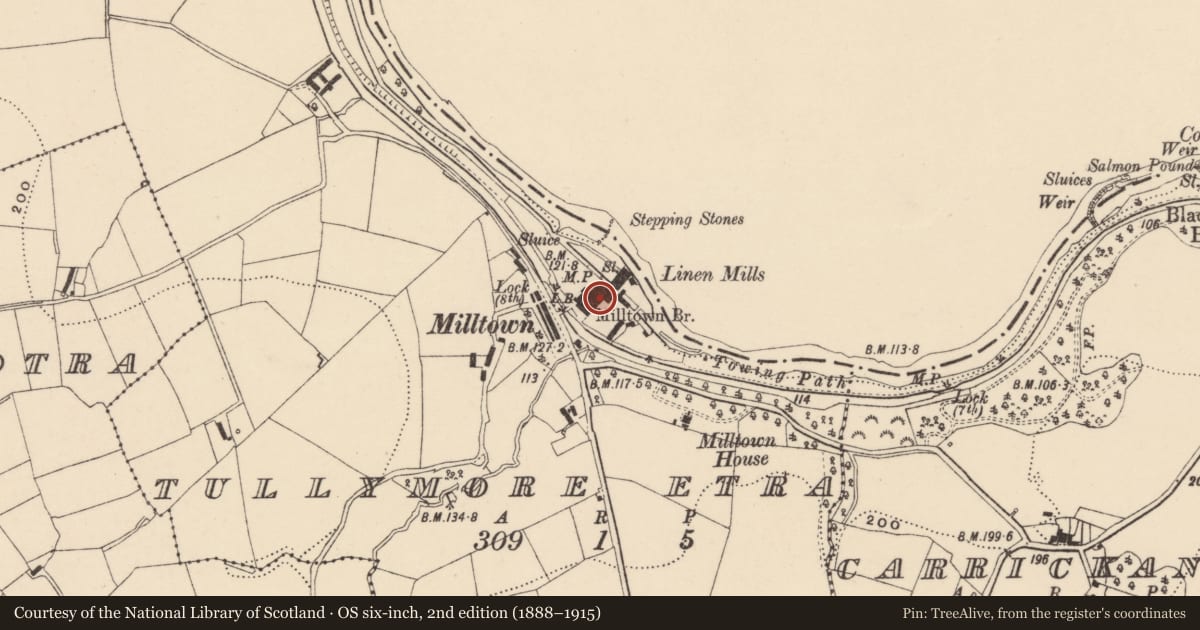 Ordnance Survey six-inch map, 2nd edition (1888–1915) covering the location of ORR/Sinton'S Mill, Armagh City, Banbridge and Craigavon, with a pin at the register's coordinates