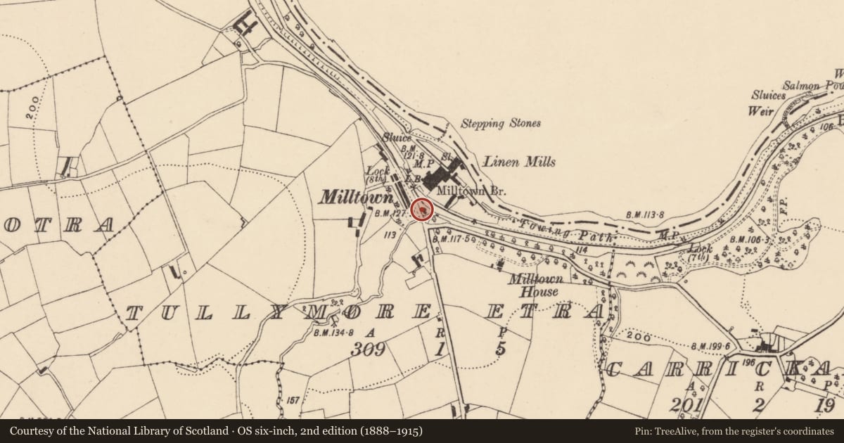 Ordnance Survey six-inch map, 2nd edition (1888–1915) covering the location of Thomas Telford Lock House, Armagh City, Banbridge and Craigavon, with a pin at the register's coordinates