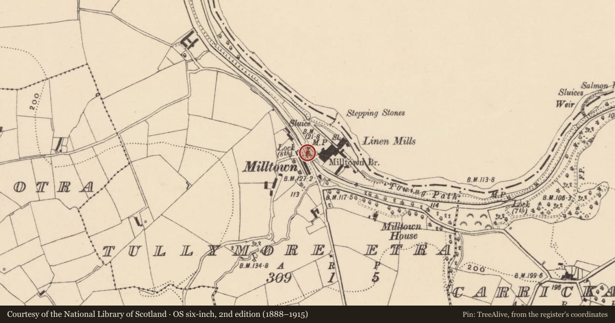 Ordnance Survey six-inch map, 2nd edition (1888–1915) covering the location of Acomodation Bridge And Lock, Armagh City, Banbridge and Craigavon, with a pin at the register's coordinates