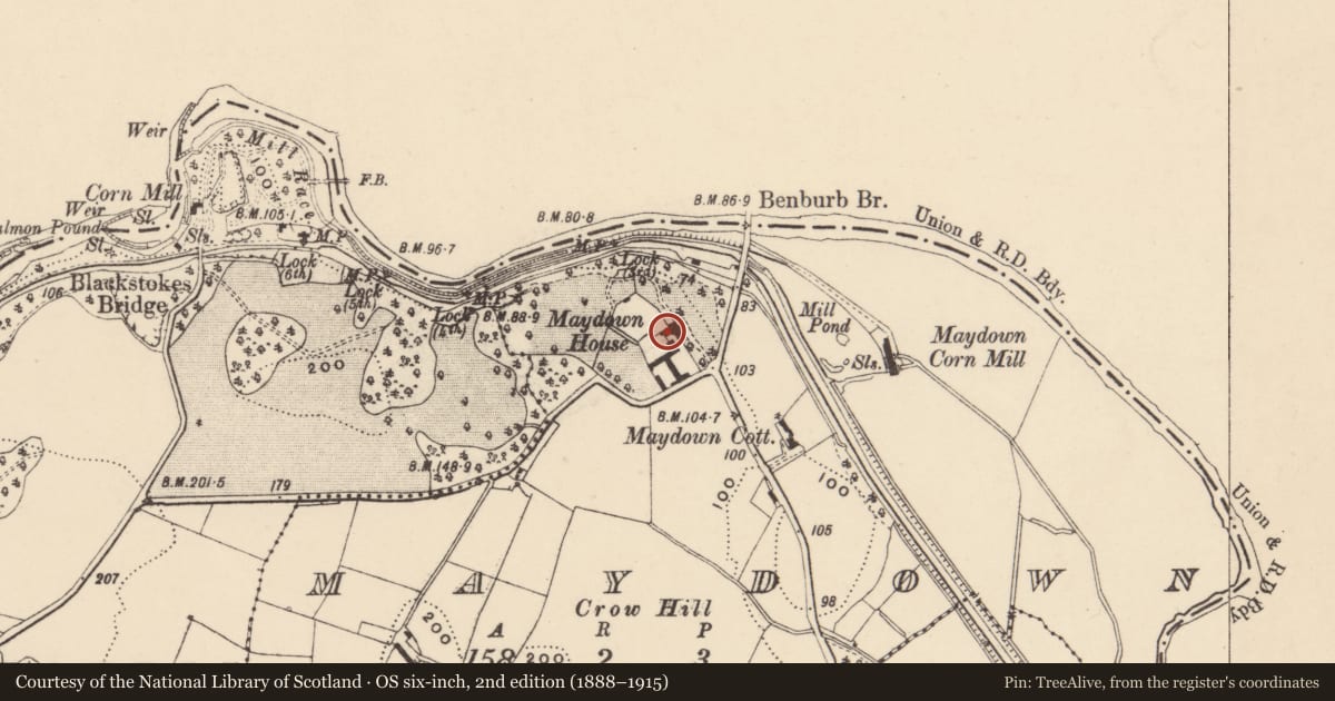 Ordnance Survey six-inch map, 2nd edition (1888–1915) covering the location of Maydown House, Armagh City, Banbridge and Craigavon, with a pin at the register's coordinates