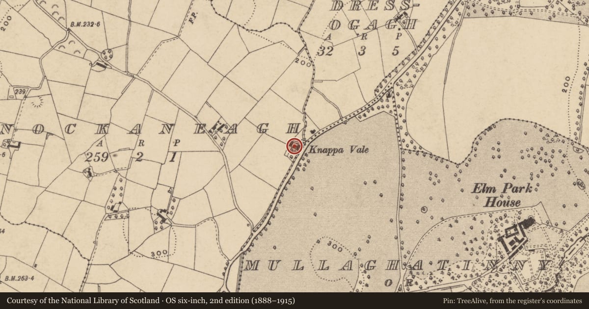 Ordnance Survey six-inch map, 2nd edition (1888–1915) covering the location of Knappa Vale, Armagh City, Banbridge and Craigavon, with a pin at the register's coordinates